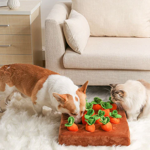 tapis-de-fouille-chien-recherche
