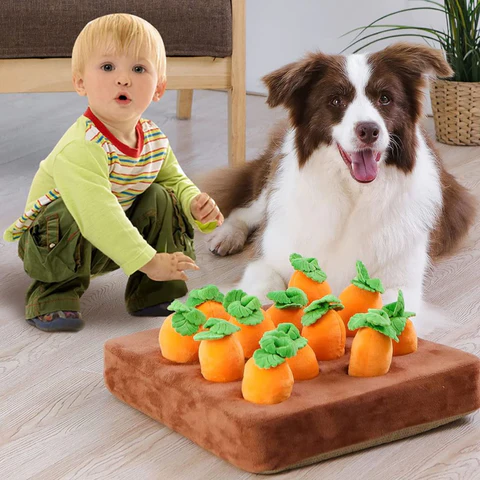 tapis-de-fouille-chien-complicité